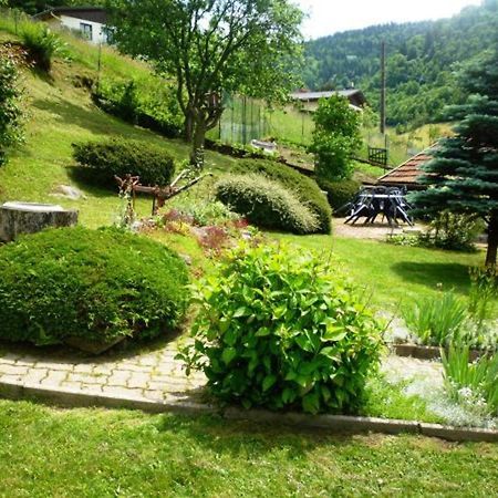Gite Chaleureux A La Bresse Avec Terrasse, Barbecue Et Proche Des Pistes De Ski - Fr-1-589-189 Εξωτερικό φωτογραφία