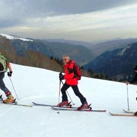 Gite Chaleureux A La Bresse Avec Terrasse, Barbecue Et Proche Des Pistes De Ski - Fr-1-589-189 Εξωτερικό φωτογραφία