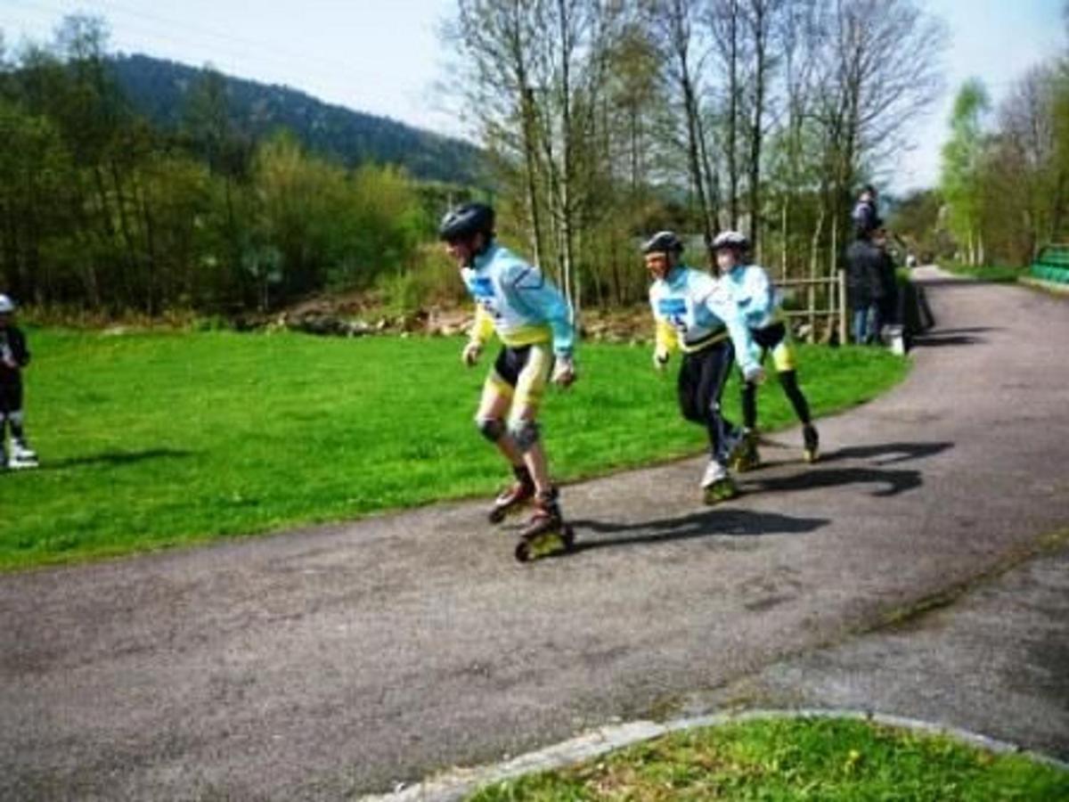 Gite Chaleureux A La Bresse Avec Terrasse, Barbecue Et Proche Des Pistes De Ski - Fr-1-589-189 Εξωτερικό φωτογραφία